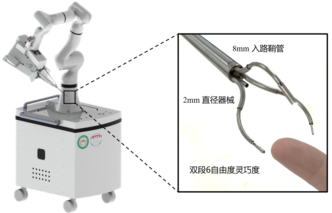 硬核突破！ MicroSpine 柔性脊柱微创手术机器人成果登顶《Science Robotics》，重塑脊柱微创新范式